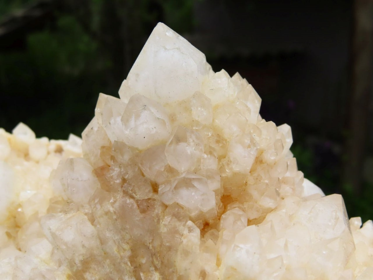 Raw Snow Phantom Quartz Cluster XL