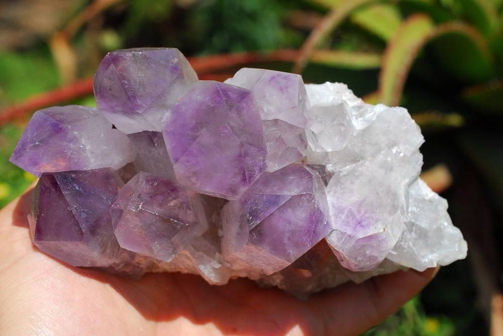 Raw Amethyst clusters