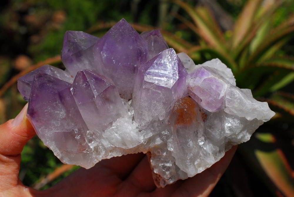 Raw Amethyst clusters