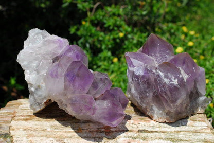 Raw Amethyst clusters