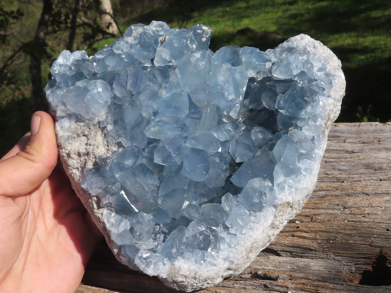 Raw Gorgeous Blue Celestite Geode XL