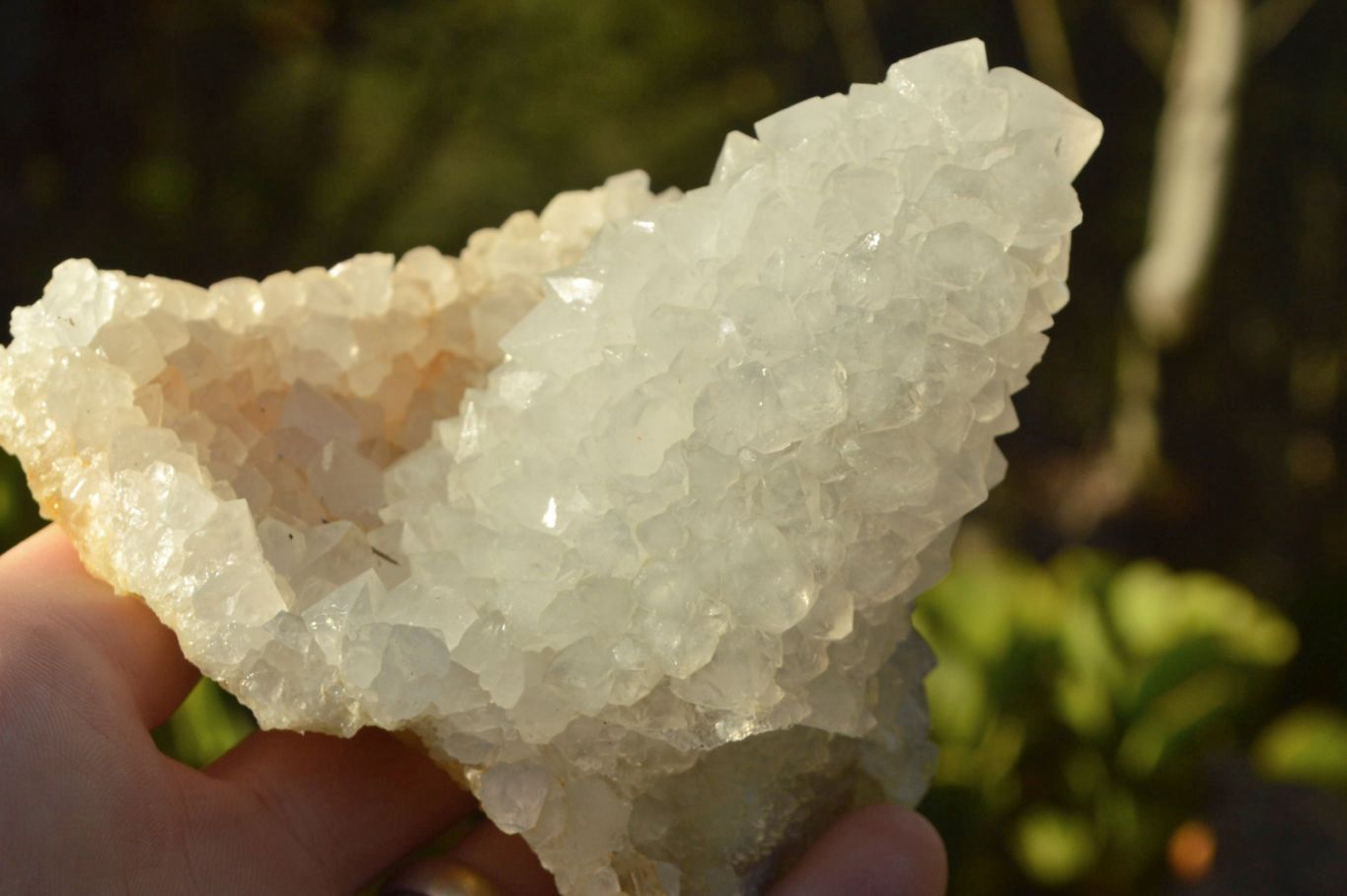 Rare Spirit Quartz witch finger Specimens