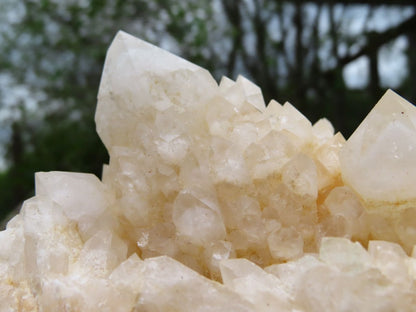 Raw Snow Phantom Quartz Cluster XL