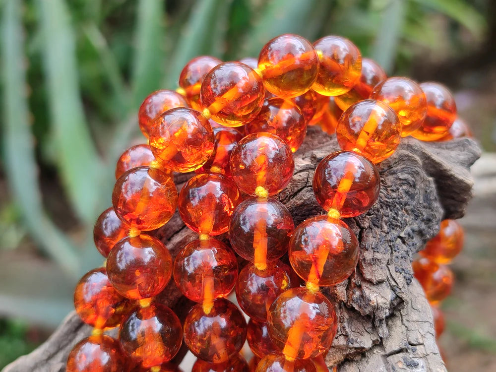 Fossilised Baltic Amber Necklace