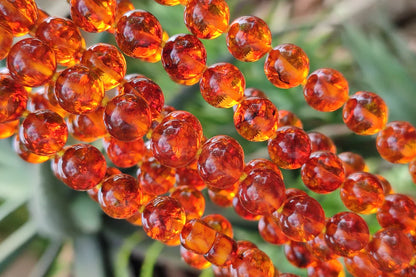 Fossilised Baltic Amber Necklace