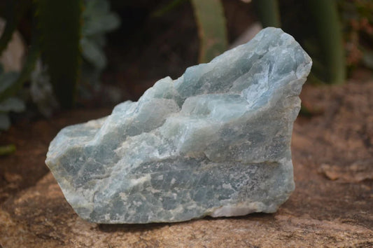 XLNatural Rare Blue Aquamarine Gem Specimen