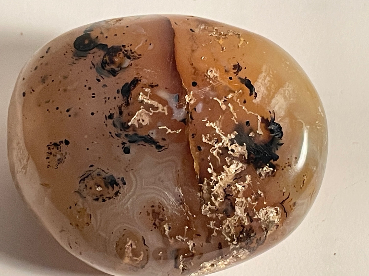 Polished Natural Botswana-Agate