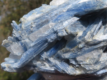 Raw Blue Kyanite