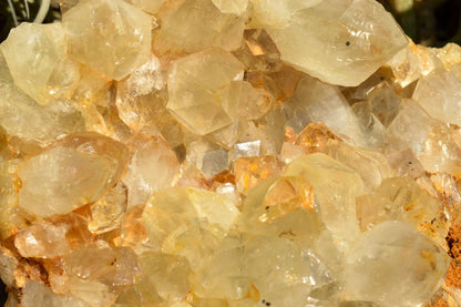 Raw Golden Healer Quartz Cluster XL