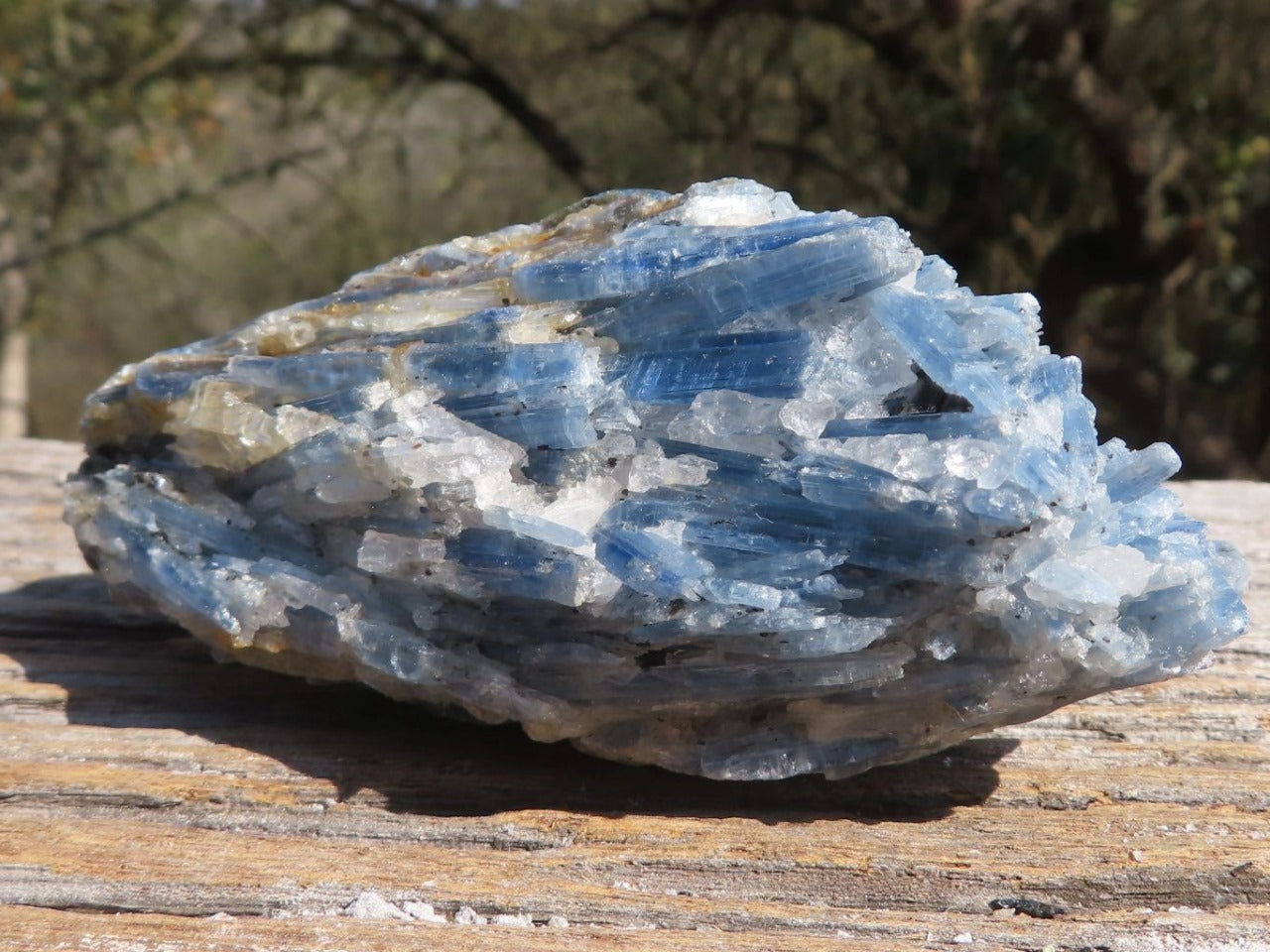 Raw Blue Kyanite