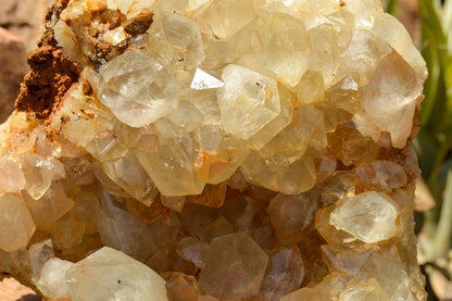 Raw Golden Healer Quartz Cluster XL