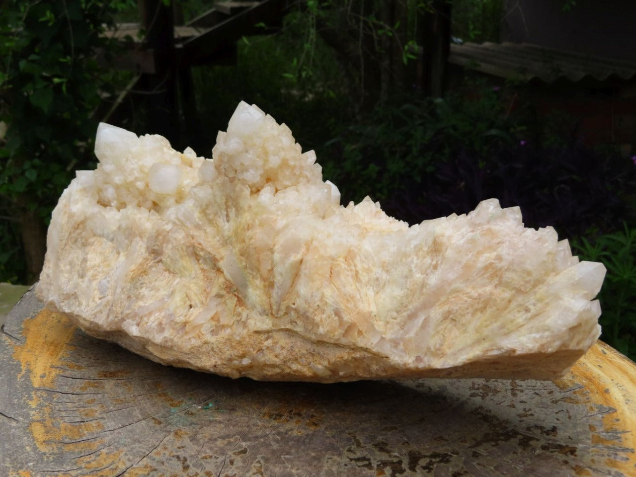 Raw Snow Phantom Quartz Cluster XL