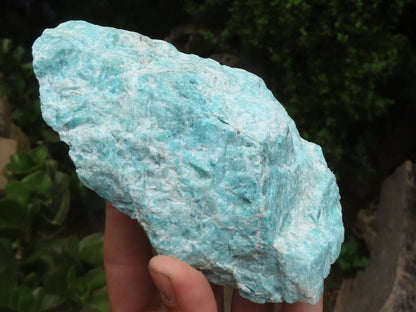 Raw Selected Amazonite Cobbed Specimens