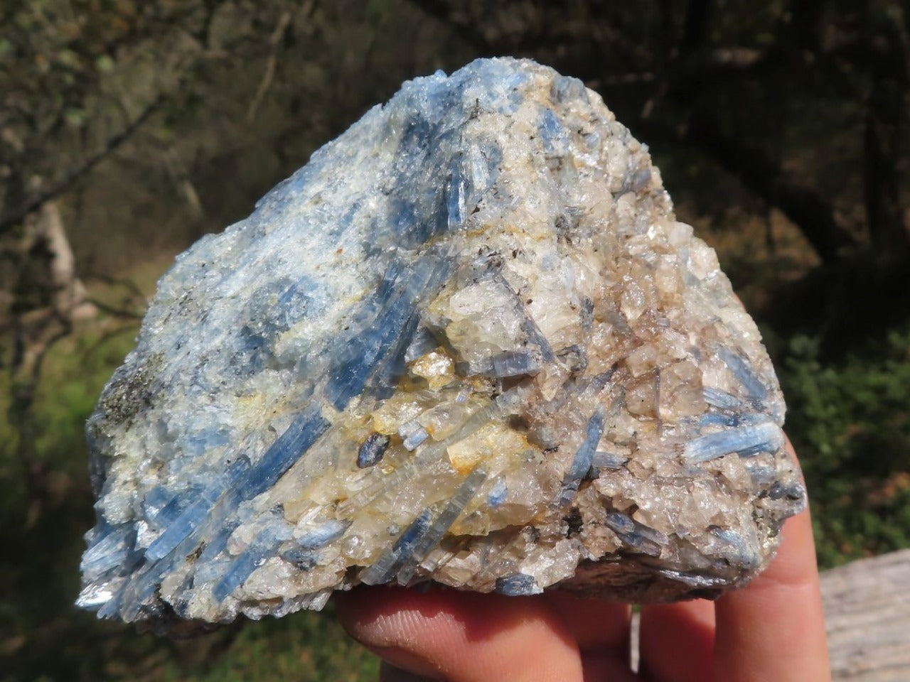 Raw Blue Kyanite