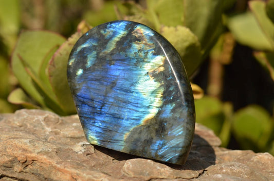 Polished Natural Labradorite Standing