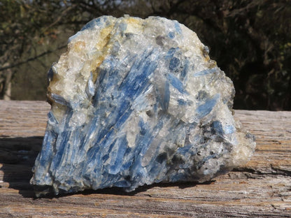 Raw Blue Kyanite