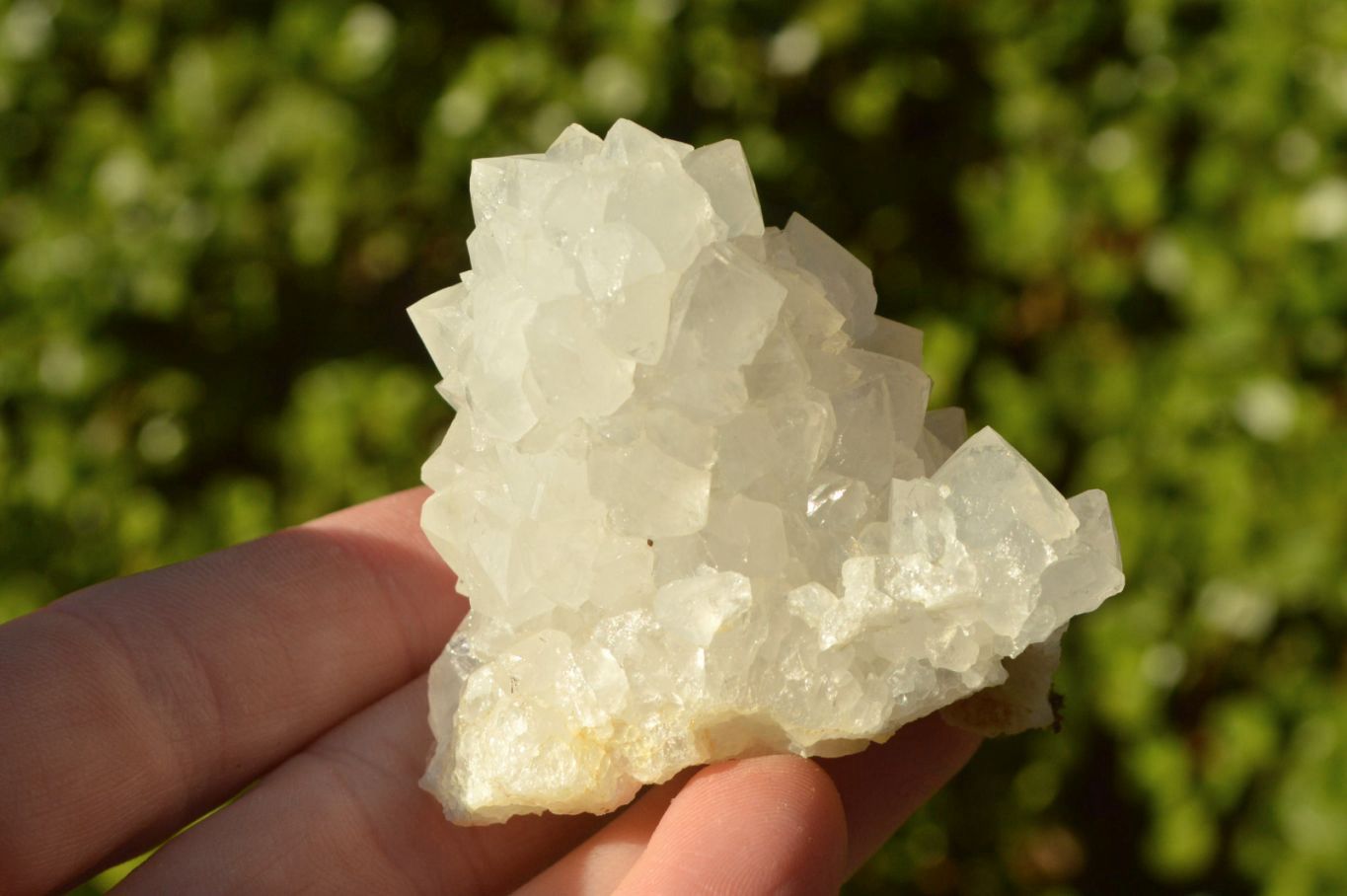 Rare Spirit Quartz witch finger Specimens